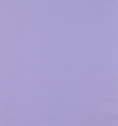80S锦棉罗马布 素色 圆机 针织 染色 低弹 连衣裙 裤子 西装 偏薄 细腻 无光 女装 童装 春秋 61116-13